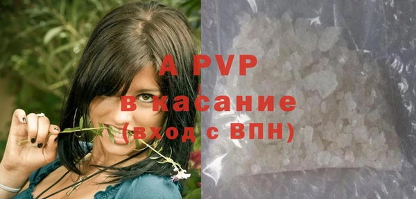 PSILOCYBIN Аркадак